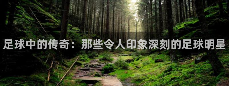 足球中的传奇：那些令人印象深刻的足球明星