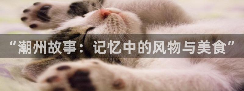 “潮州故事：记忆中的风物与美食”