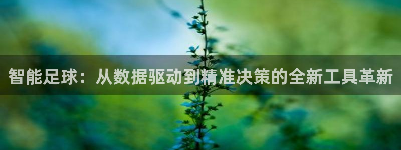 智能足球：从数据驱动到精准决策的全新工具革新