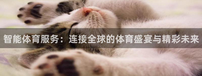 智能体育服务：连接全球的体育盛宴与精彩未来