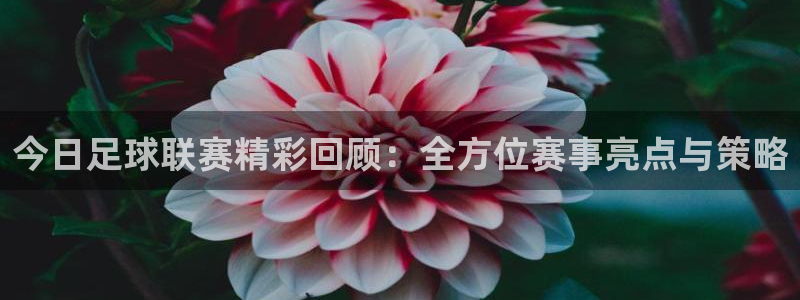 今日足球联赛精彩回顾：全方位赛事亮点与策略