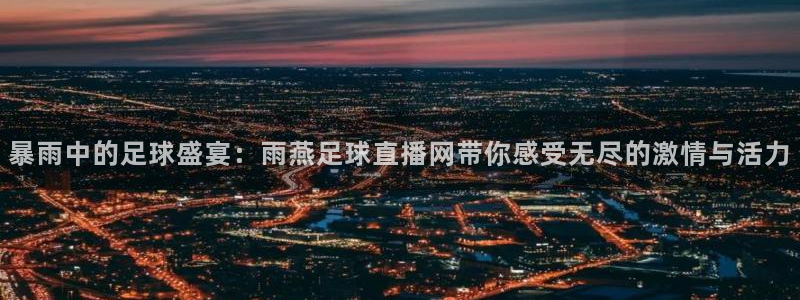 暴雨中的足球盛宴：雨燕足球直播网带你感受无尽的激情与活力