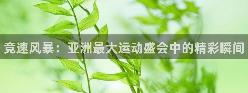 竞速风暴：亚洲最大运动盛会中的精彩瞬间