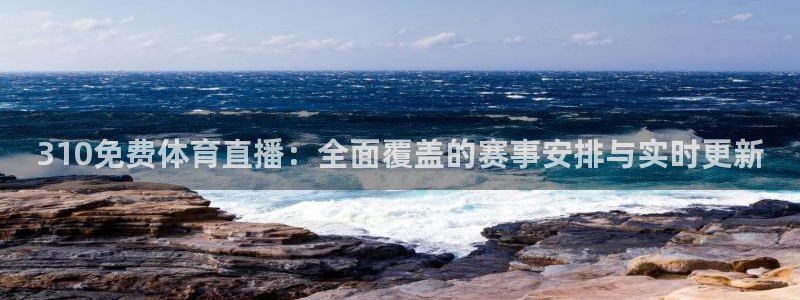 310免费体育直播：全面覆盖的赛事安排与实时更新