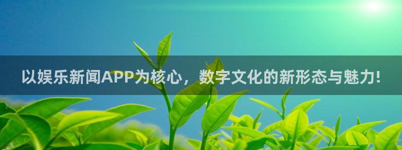 以娱乐新闻APP为核心，数字文化的新形态与魅力!