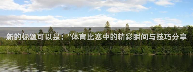 新的标题可以是：\