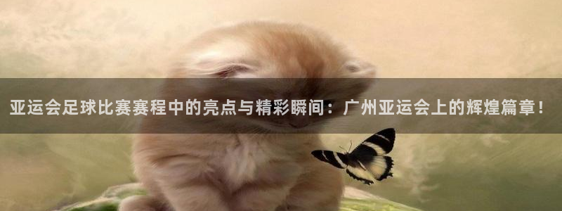 亚运会足球比赛赛程中的亮点与精彩瞬间：广州亚运会上的辉煌篇章！