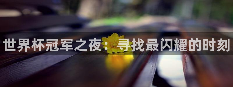 世界杯冠军之夜：寻找最闪耀的时刻