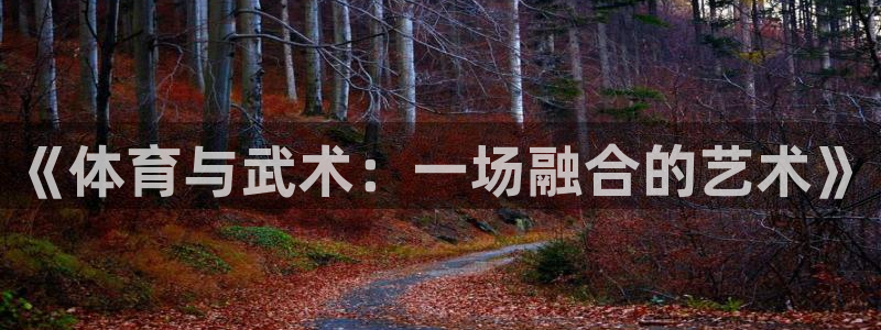 《体育与武术：一场融合的艺术》
