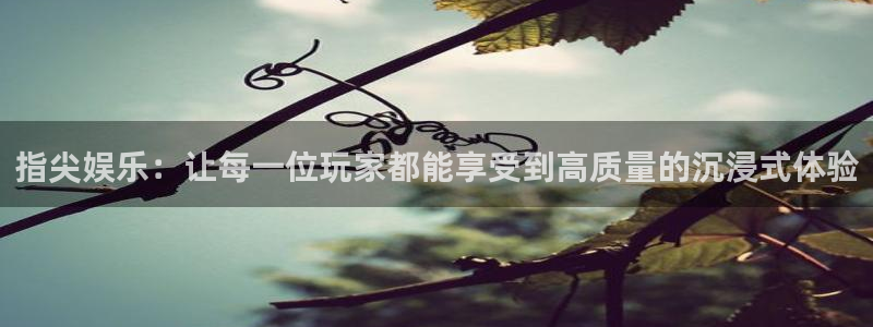 指尖娱乐：让每一位玩家都能享受到高质量的沉浸式体验