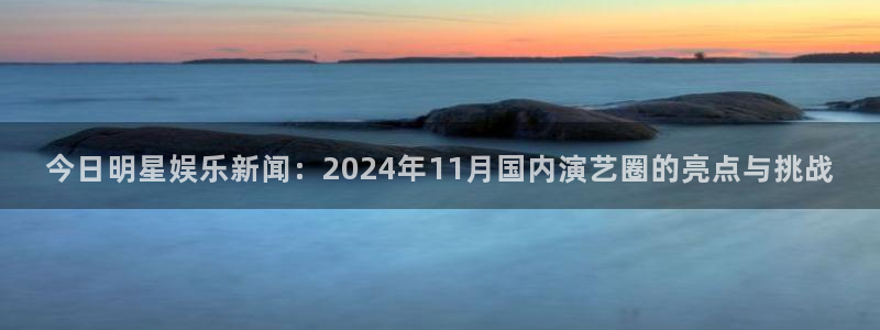 今日明星娱乐新闻：2024年11月国内演艺圈的亮点与挑战